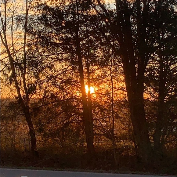 Meet your Posher, Kaelyn - Picture 1 of 1